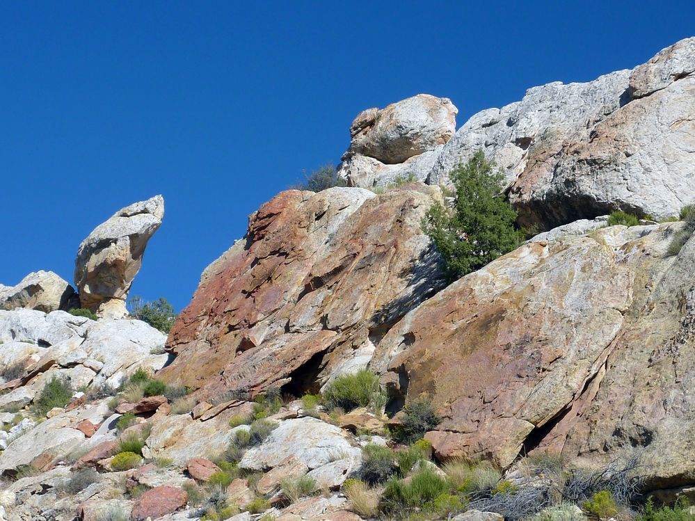 Dinosaur national park (2).JPG